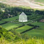 Fenced yard with privacy and space