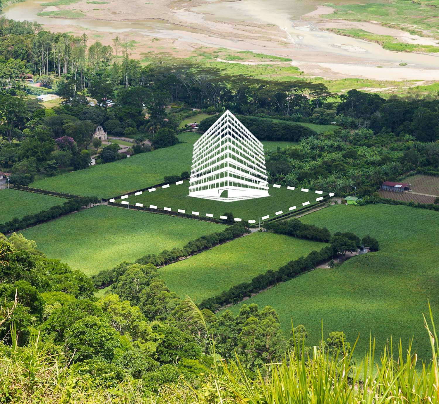 Fenced yard with privacy and space